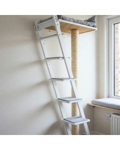 White Ladder